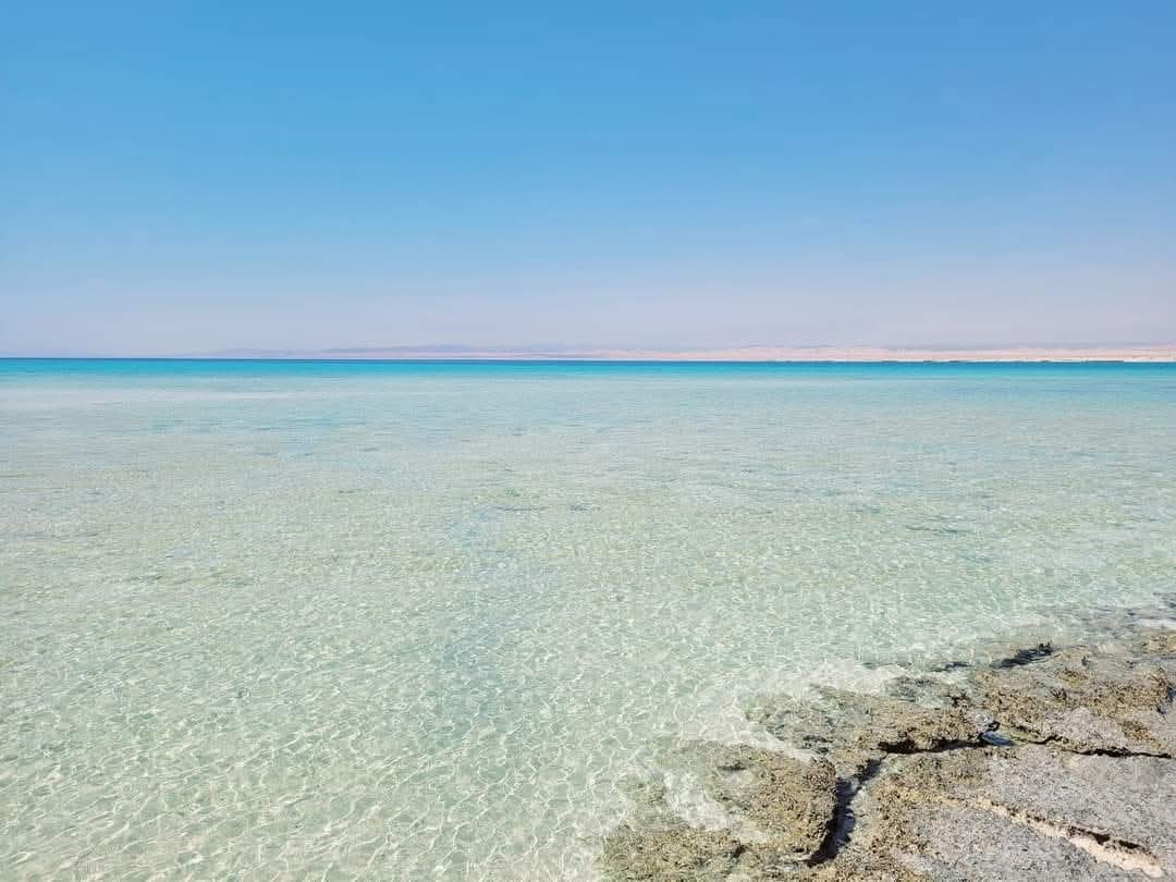 Crystal clear Red Sea coastline at Marsa Blue Dive