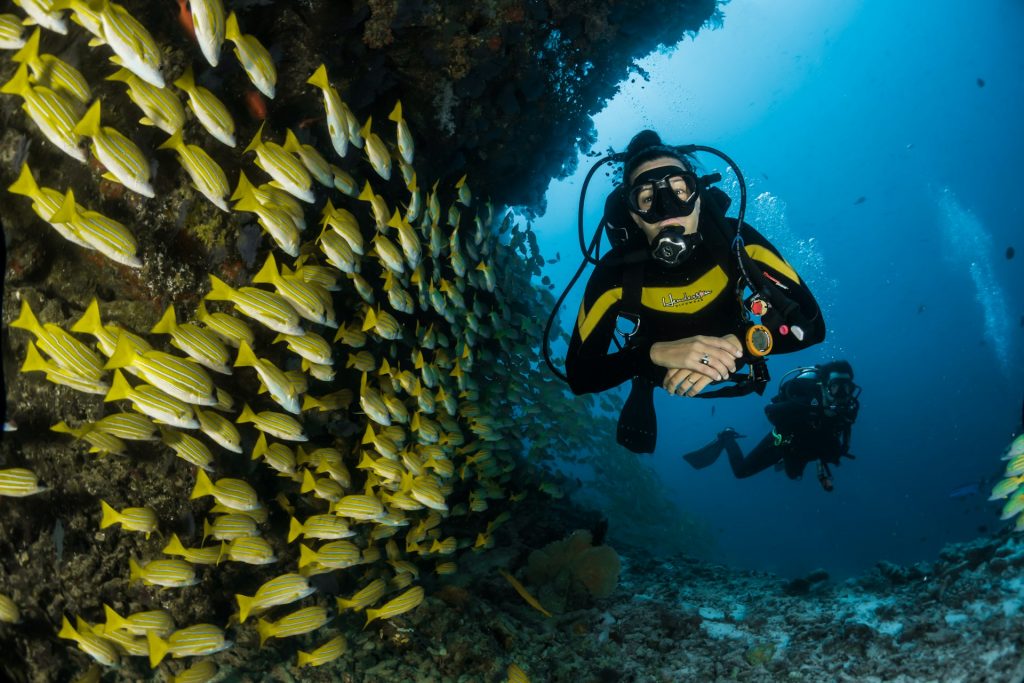 Snorkleling